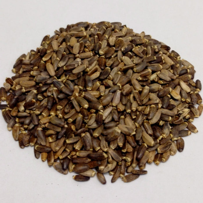 Carduus marianus / Milk Thistle Seed Whole