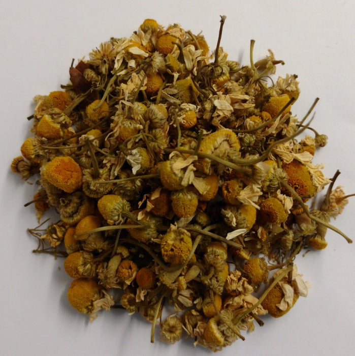 Chamomilla recutita / German Chamomile Flowers Whole