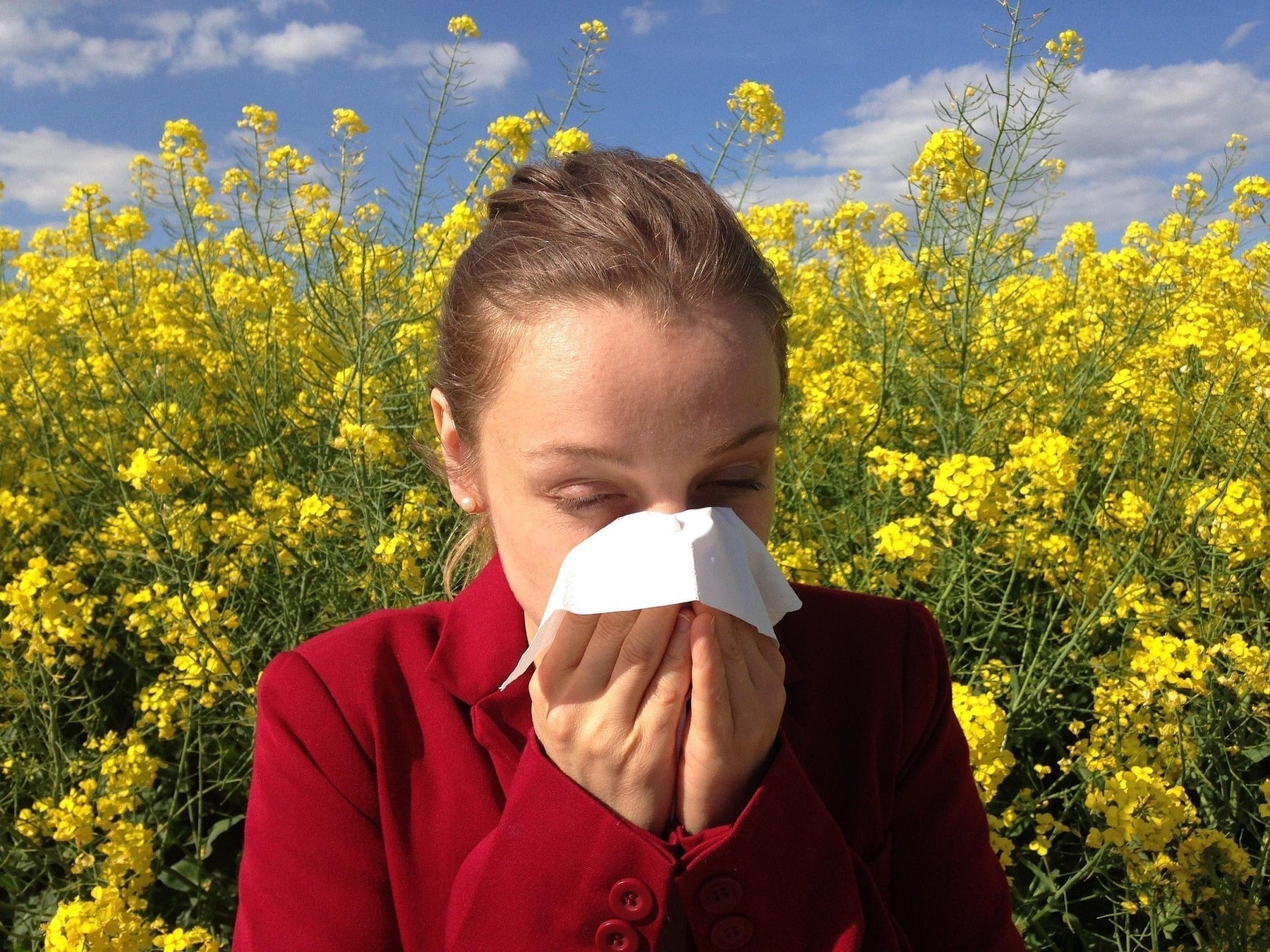 Herbal medicine and Hayfever – A natural way to support through seasonal changes