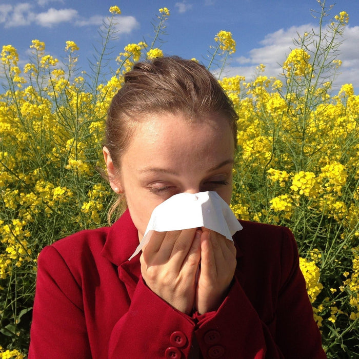 Herbal medicine and Hayfever – A natural way to support through seasonal changes