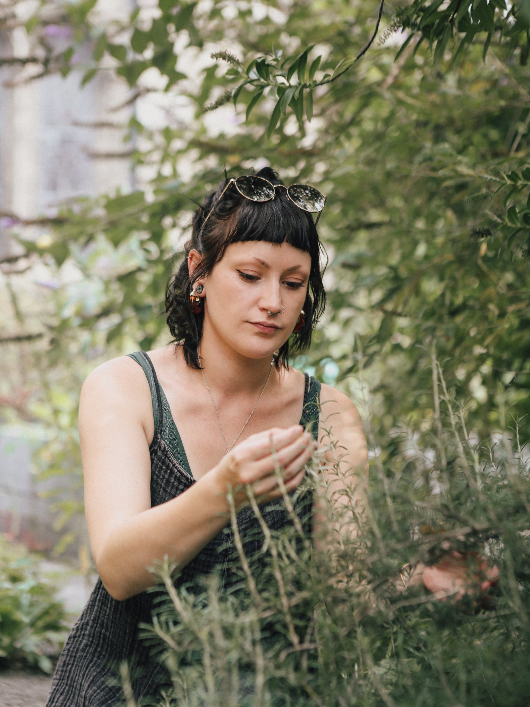 Practitioner Spotlight - Sarah Farrow of Common Ground Herbals