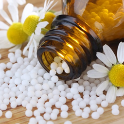 Homeopathy: An Exploration of Ancient Wisdom and Herbal Apothecary’s Perspectives