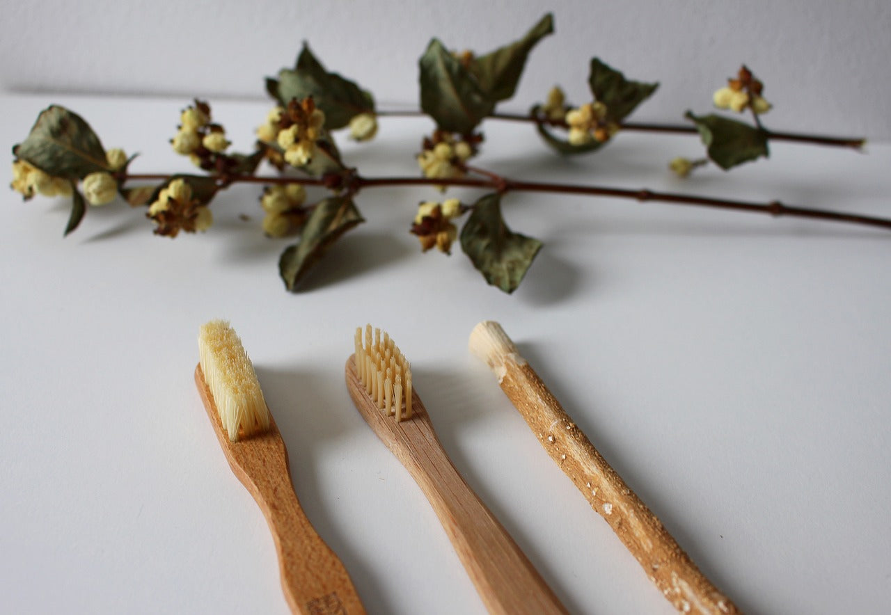 Natural Oral Healthcare by Dylan Parry, BSc Hons Clinical Herbalism.