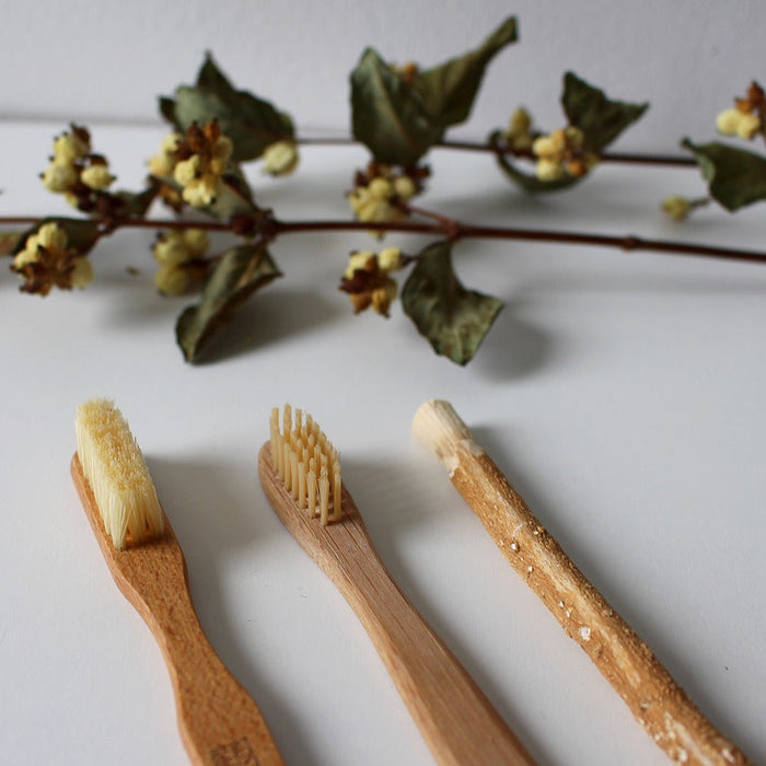 Natural Oral Healthcare by Dylan Parry, BSc Hons Clinical Herbalism.