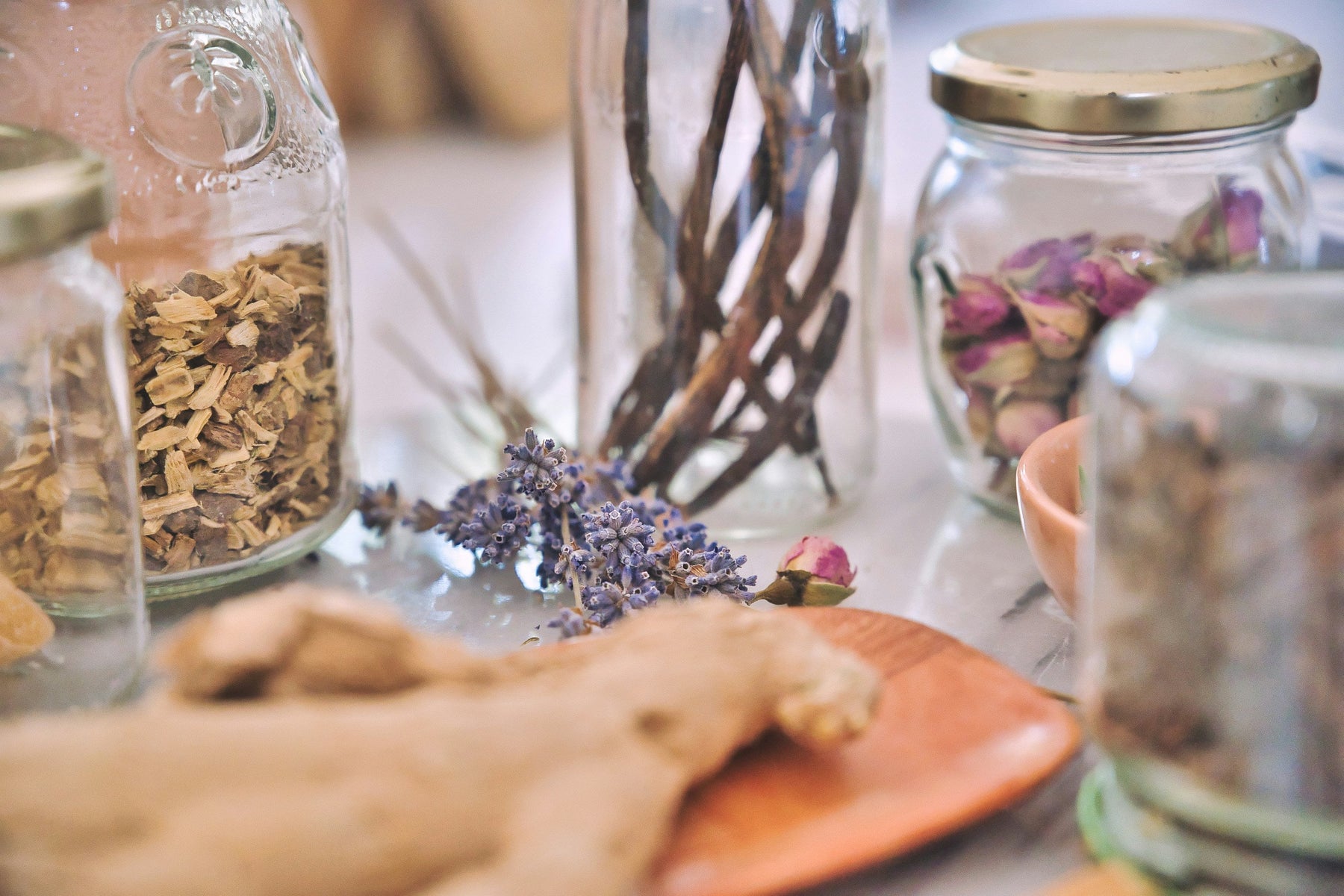 How we support students – the upcoming herbal medicine practitioners of tomorrow by Dylan Parry - Herbal Adviser at Herbal Apothecary (BSc Hons Clinical Herbalism)