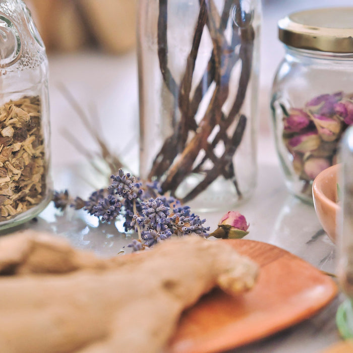 How we support students – the upcoming herbal medicine practitioners of tomorrow by Dylan Parry - Herbal Adviser at Herbal Apothecary (BSc Hons Clinical Herbalism)