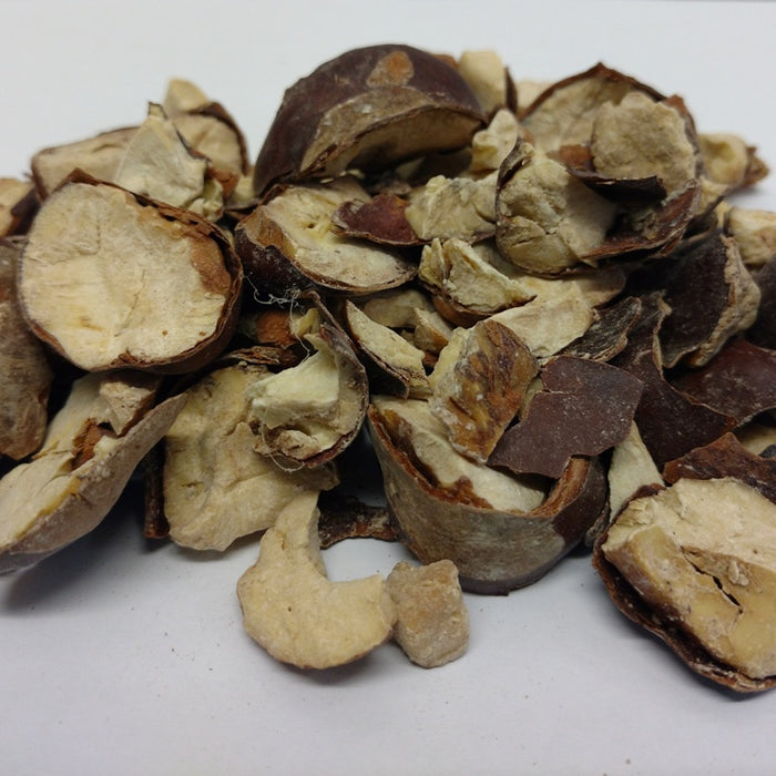 Aesculus hippocastanum / Horse Chestnut Cut