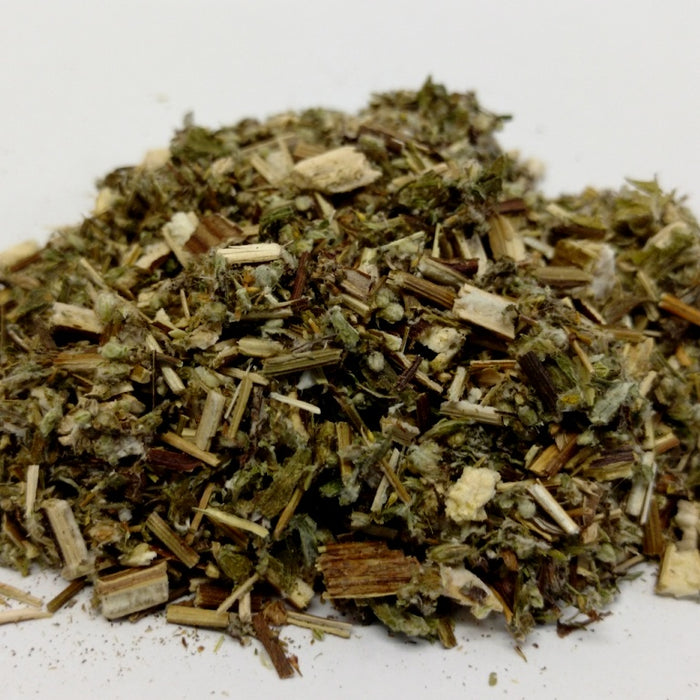 Artemisia vulgaris / Mugwort Herb Cut