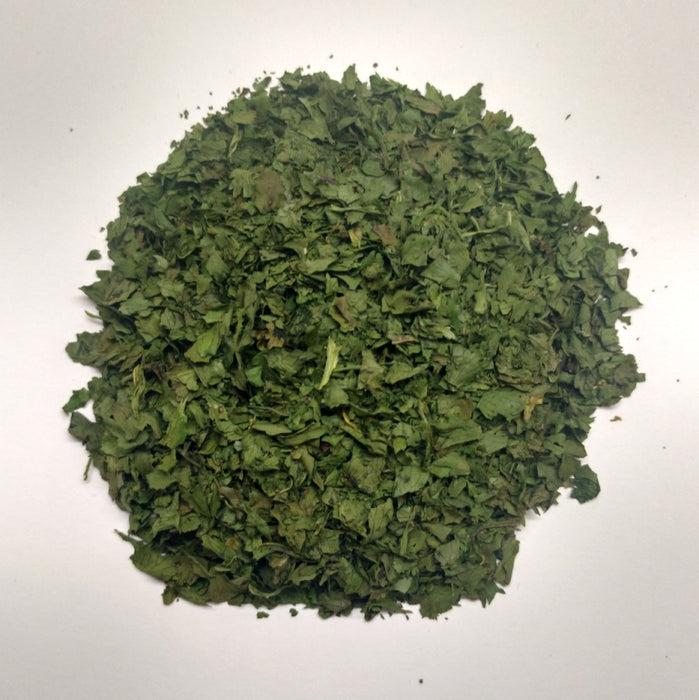Coriandrum sativum / Coriander Leaf