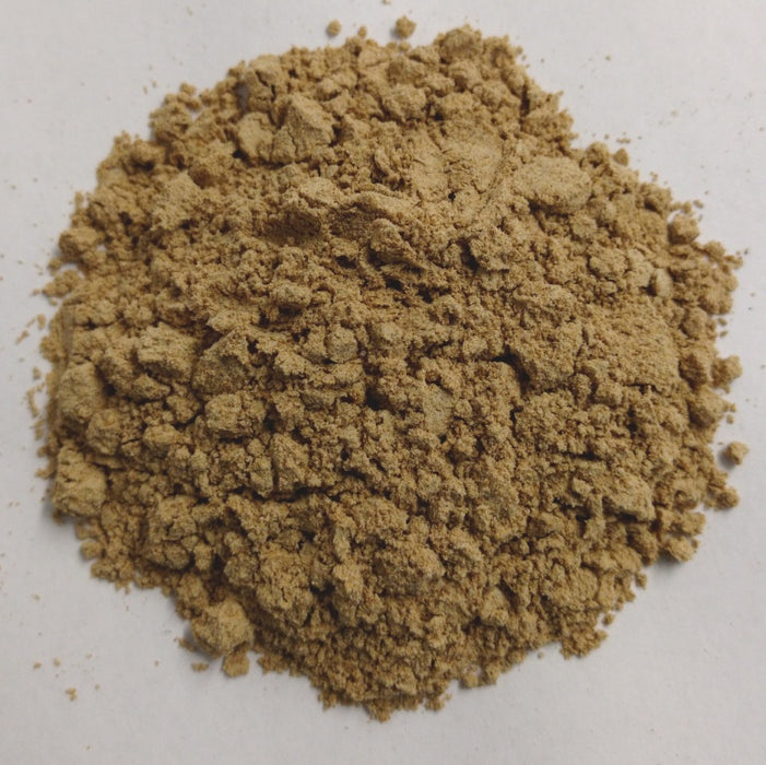 Carduus marianus / Milk Thistle Seed Powder