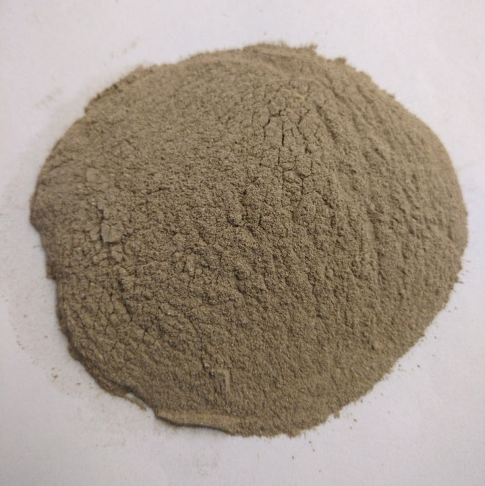 Echinacea purpurea / Echinacea Root Powder
