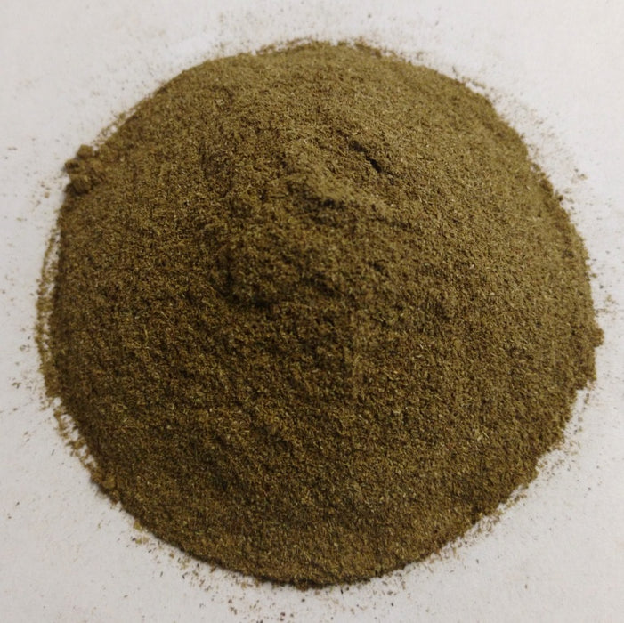 Equisetum arvense / Horsetail Herb Powder