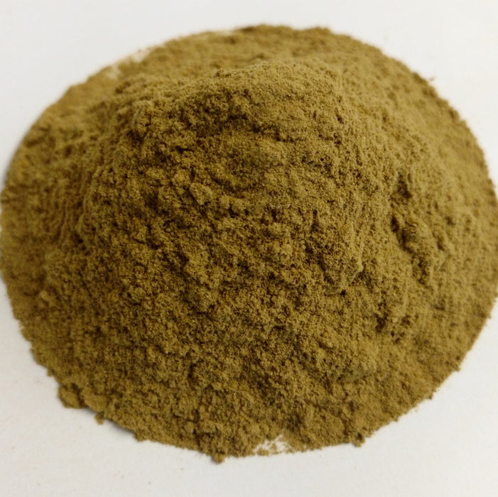 Olea europa / Olive Leaf Powder