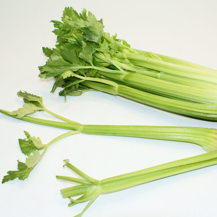 Apium graveolens / Celery Seed Whole