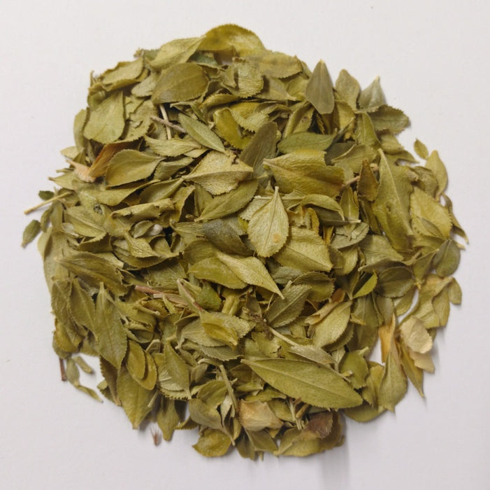 Barosma betulina / Buchu Leaf Whole