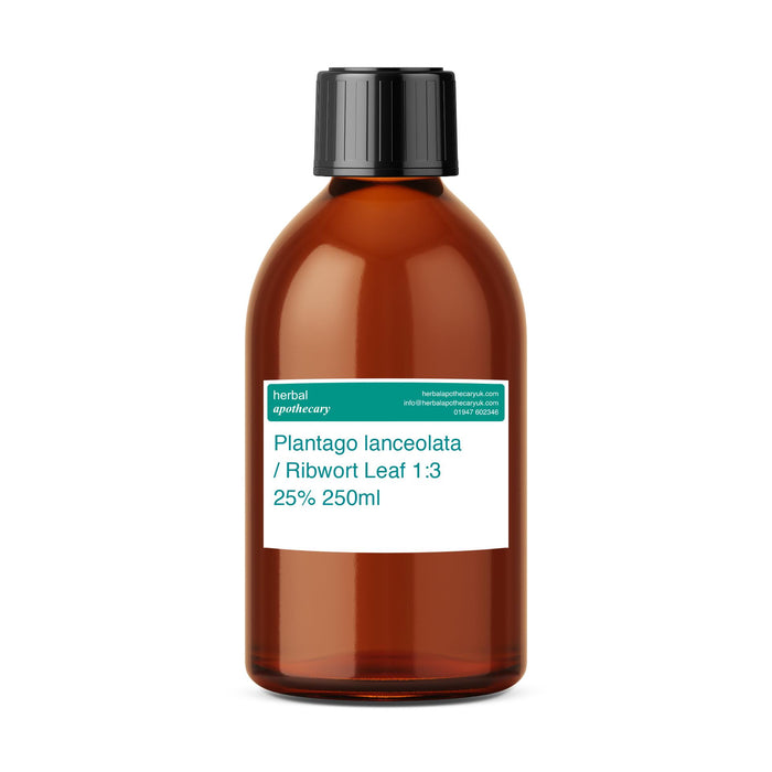 Plantago lanceolata / Ribwort Leaf 1:3 25% 250ml