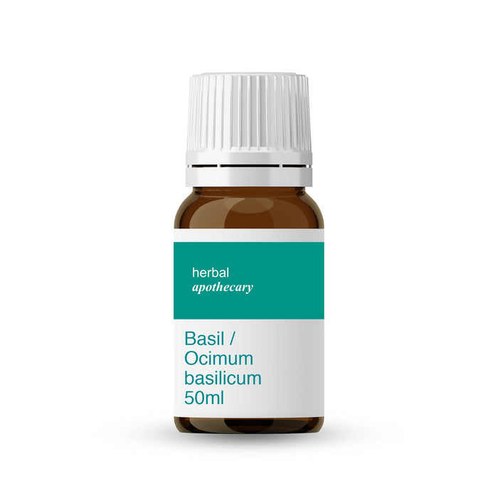 Basil / Ocimum basilicum 50ml