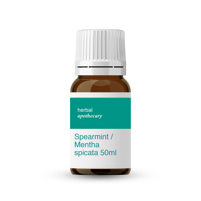 Spearmint / Mentha spicata 50ml