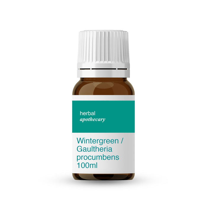 Wintergreen / Gaultheria procumbens 100ml